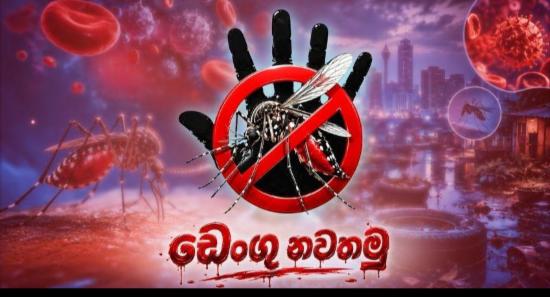 “Stop Dengue Now” National Programme Continues